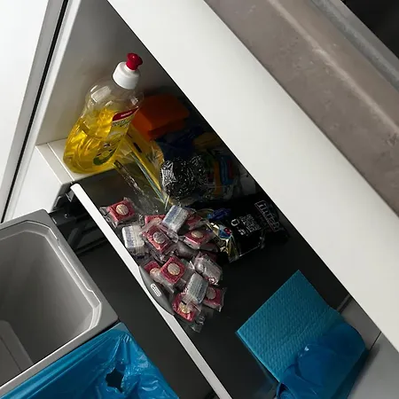 Ferienwohnung: Waldblick